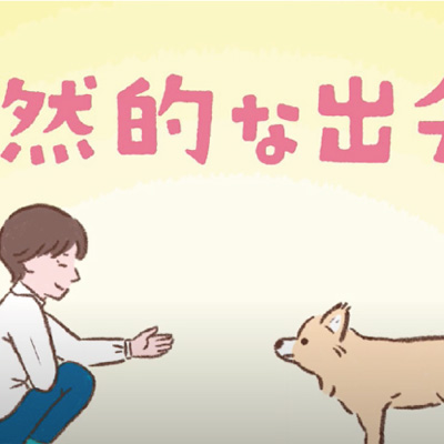 動物病院 認知拡大施策