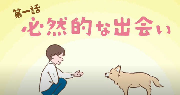 動物病院 認知拡大施策